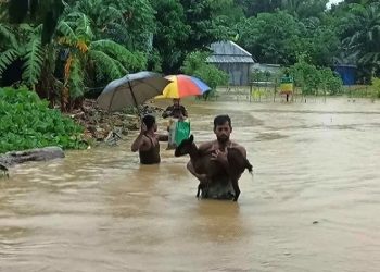 রংপুর ও সিলেটে বাড়ছে নদ-নদীর পানি, বন্যার আশঙ্কা