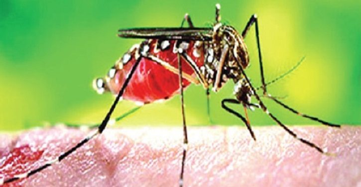 ডেঙ্গুতে আরো ২ জনের মৃত্যু