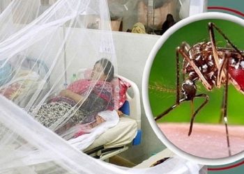 ডেঙ্গুতে আরও ২ জনের মৃত্যু, হাসপাতালে ভর্তি ৯৯৬ জন