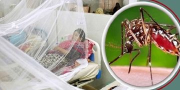 ডেঙ্গুতে আরও ২ জনের মৃত্যু, হাসপাতালে ভর্তি ৯৯৬ জন