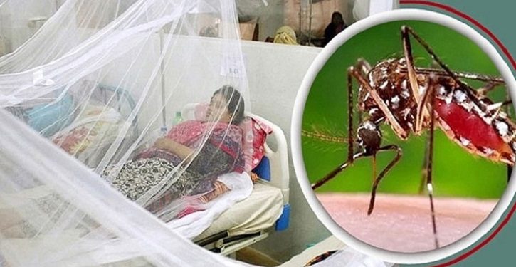 ডেঙ্গুতে আরও ২ জনের মৃত্যু, হাসপাতালে ভর্তি ৯৯৬ জন