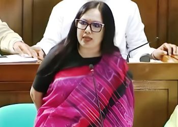 ‘দুষ্টু লোকেরা বলে টুকু আসে-টুকু যায়,’ সংসদে রুমিন ফারহানা
