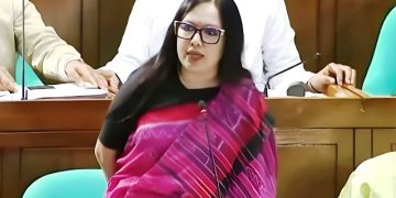 ‘দুষ্টু লোকেরা বলে টুকু আসে-টুকু যায়,’ সংসদে রুমিন ফারহানা