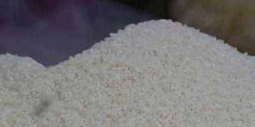 এক মাসে পোলাও চাল কেজিতে বেড়েছে ৬০ থেকে ৮০ টাকা