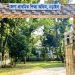 নড়াইলে ৪৯৫ প্রাথমিক বিদ্যালয়ের ৩২০টিতে নেই প্রধান শিক্ষক
