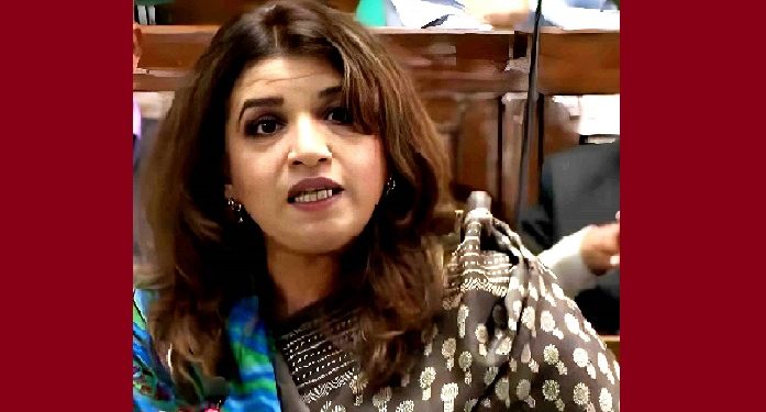 আ.লীগের কার্যক্রম নিয়ে ভারতকে কড়া বার্তা শামা ওবায়েদের 