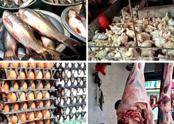 ২০০ টাকার নিচে নেই মাছ ও মুরগি, ডিমের ডজন ১৫০