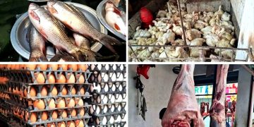 ২০০ টাকার নিচে নেই মাছ ও মুরগি, ডিমের ডজন ১৫০