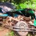 গাজীপুরে সিএনজি-কাভার্ডভ্যানের সংঘর্ষে ৩ জনের প্রাণহানী