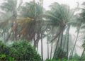 পাঁচ বিভাগে ভারী বৃষ্টির আভাস, কমতে পারে তাপপ্রবাহ