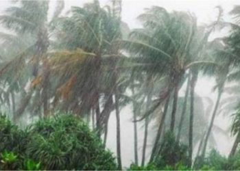 পাঁচ বিভাগে ভারী বৃষ্টির আভাস, কমতে পারে তাপপ্রবাহ