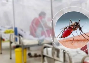 ডেঙ্গুতে আরও ৩ জনের মৃত্যু, হাসপাতালে ১৪৩২