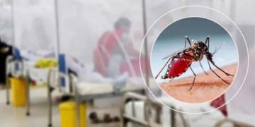 ডেঙ্গুতে আরও ৩ জনের মৃত্যু, হাসপাতালে ১৪৩২