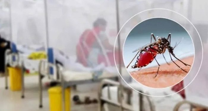 ডেঙ্গুতে আরও ৩ জনের মৃত্যু, হাসপাতালে ১৪৩২