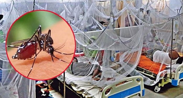 ডেঙ্গুতে আরও ৬ জনের প্রাণহানি