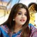 জ্বালানি সংকট মোকাবিলায় বিকল্প উৎস খুঁজছে সরকার: পররাষ্ট্র প্রতিমন্ত্রী