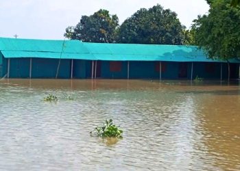 বিপৎসীমার কাছাকাছি পদ্মার পানি, হাজারো মানুষ পানিবন্দি
