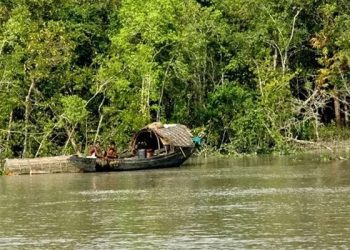 তিন মাস নিষেধাজ্ঞার পর আজ খুলেছে সুন্দরবন