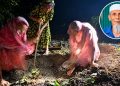 সাঈদীর মামলার বাদীর দাফন, কবর খুঁড়লেন মেয়ে-বোন