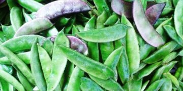 শেখ হাসিনাকে ফেরত পাঠানোর প্রক্রিয়া চলছে: ভারতীয় হাইকমিশনার