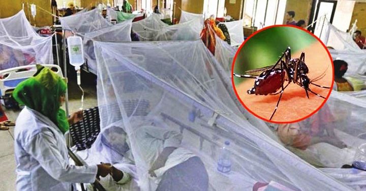 ডেঙ্গুতে মৃত্যু ৭, রেকর্ড ভর্তি ২২৪৯