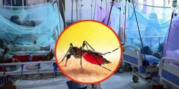ডেঙ্গুতে মৃত্যু ৩০০ ছুঁইছুঁই, ২৪ ঘন্টায় প্রাণ গেল চারজনের