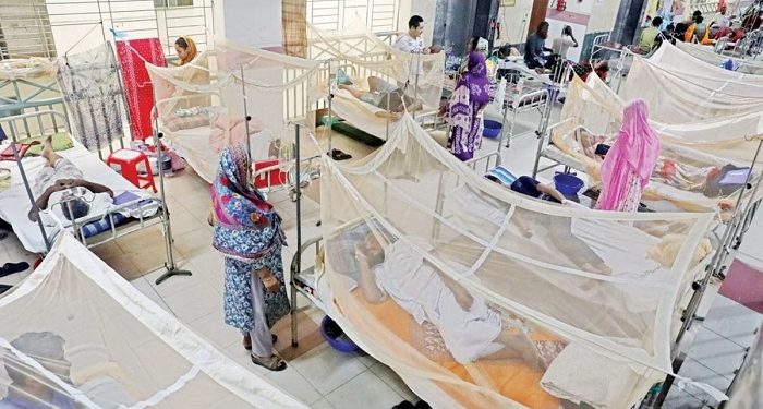 ডেঙ্গুতে আরও একজনের মৃত্যু, হাসপাতালে ১৬৩৩ জন