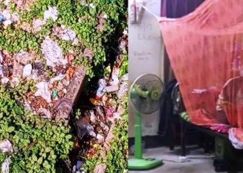 পাবিপ্রবিতে মশার উপদ্রব, বাড়ছে ডেঙ্গুর ঝুঁকি
