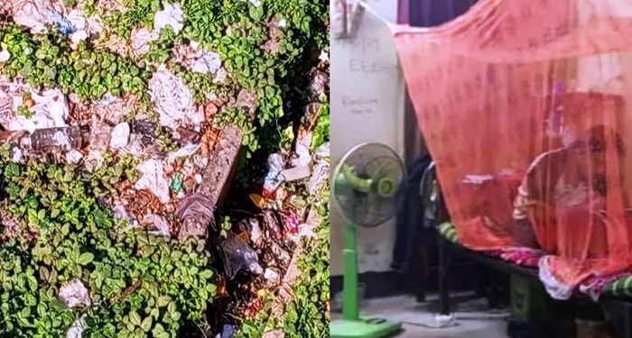 পাবিপ্রবিতে মশার উপদ্রব, বাড়ছে ডেঙ্গুর ঝুঁকি