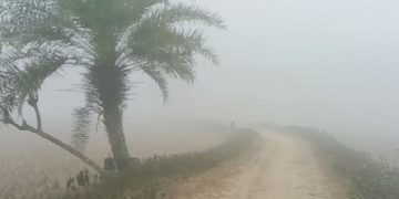 তেঁতুলিয়ায় বাড়ছে শীতের অনুভূতি